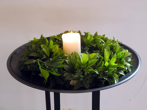 DSCN5369bearb.jpg DSCN5369bearb.jpg