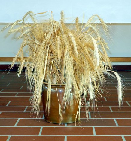 DSCN5361bearb.jpg DSCN5361bearb.jpg