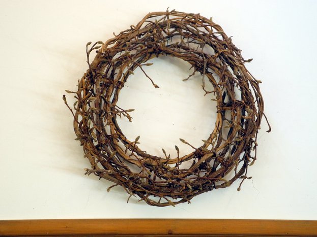 DSCN5335bearb.jpg DSCN5335bearb.jpg