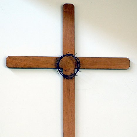 DSCN5337bearbAusschn.jpg DSCN5337bearbAusschn.jpg