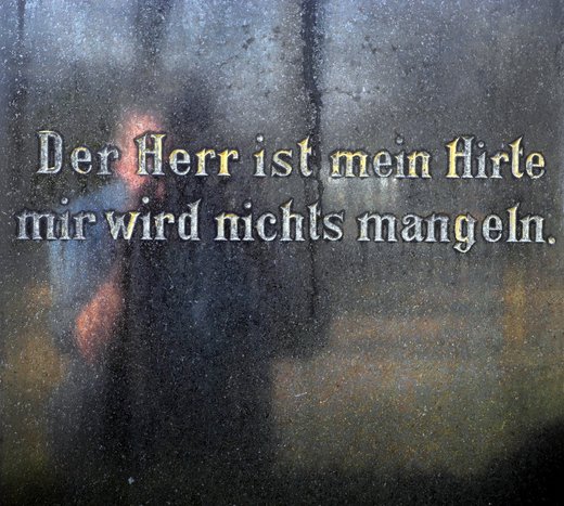 DSCN5296bearbAus.jpg DSCN5296bearbAus.jpg